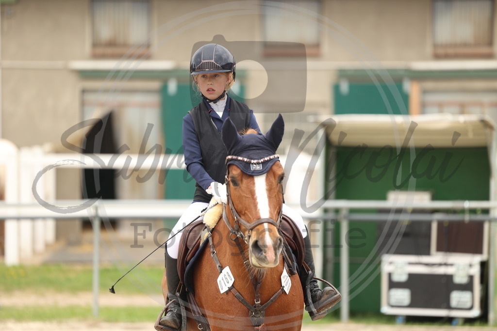 994A8855 | sabrinanicolaifotografie - Realisiert mit Pictrs.com