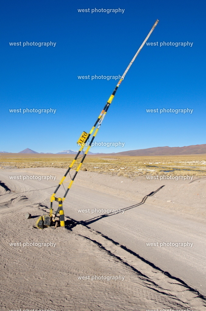Alto - BVN 2015 | west photography - Realisiert mit Pictrs.com