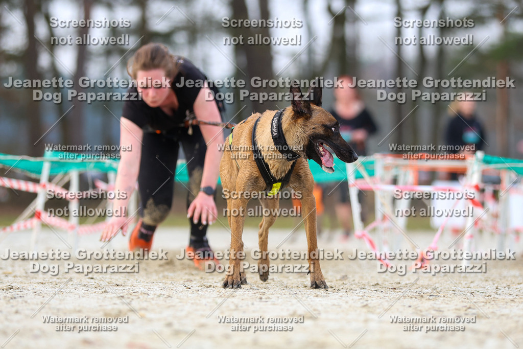 Dog Paparazzi - Strongdog North Mrz26-3782 | Dog Paparazzi Jeanette Grottendiek Fotografie & Videografie - Realisiert mit Pictrs.com