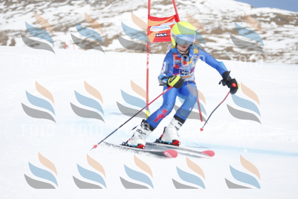 _W1G2963 | holidayphoto