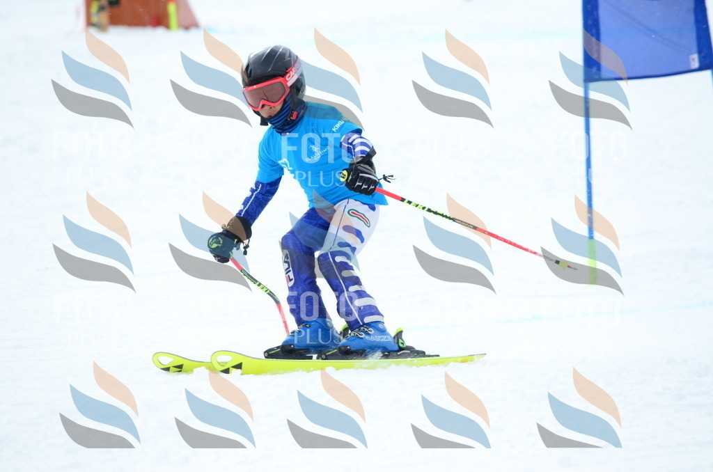 I4201 | holidayphoto