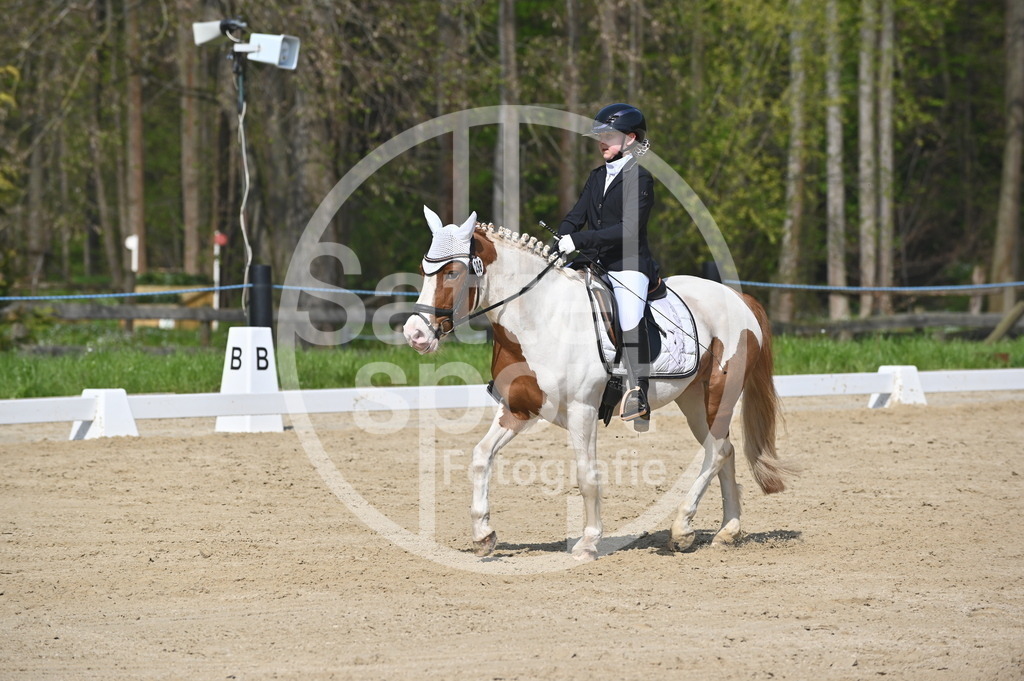 DSC_0988 | sattelsport - Realisiert mit Pictrs.com