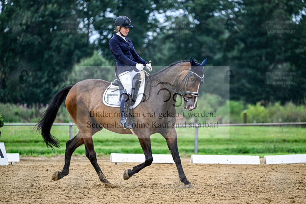 Reitturnier Hasbergen | Entdecke hochwertige Reitturnierfotos von Foto Oger. Professionell, emotional und authentisch – jetzt Lieblingsmomente im Shop bestellen. - Realisiert mit Pictrs.com