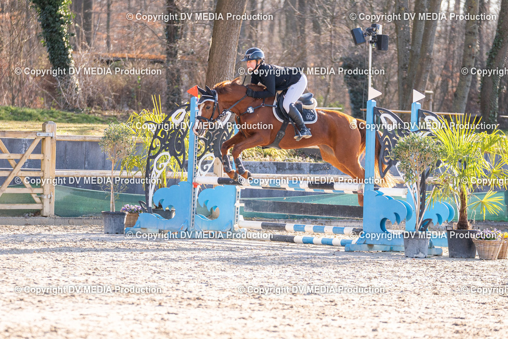 Kranichstein Tag 1-003 | dv-media-shop - Realisiert mit Pictrs.com