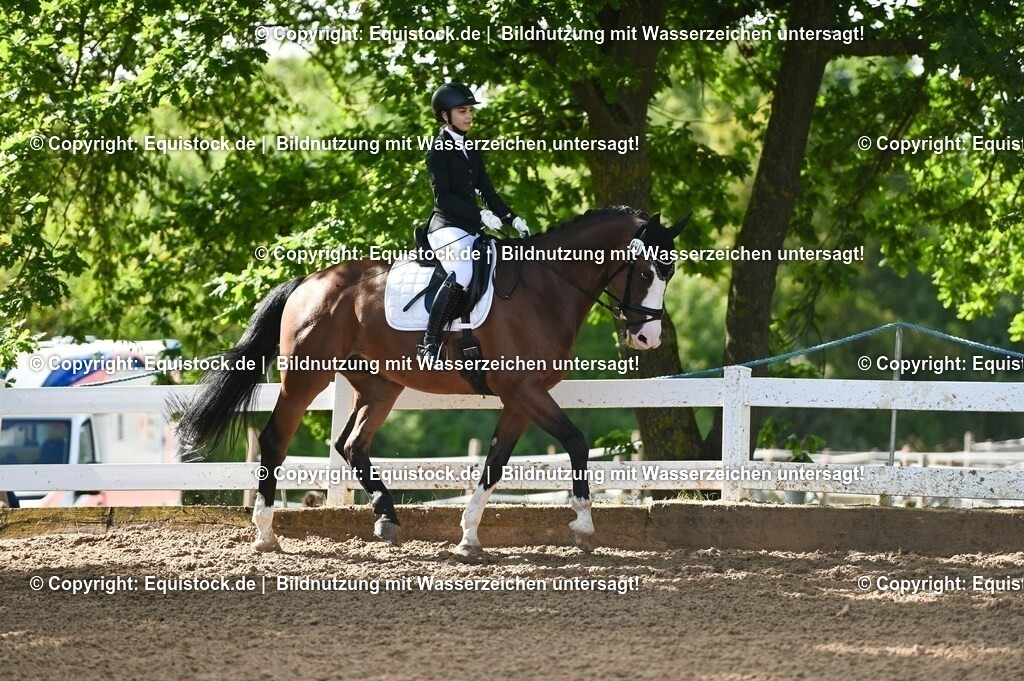 20230716_04_Dressurreiterprüfung Kl.A_0166 | equistock