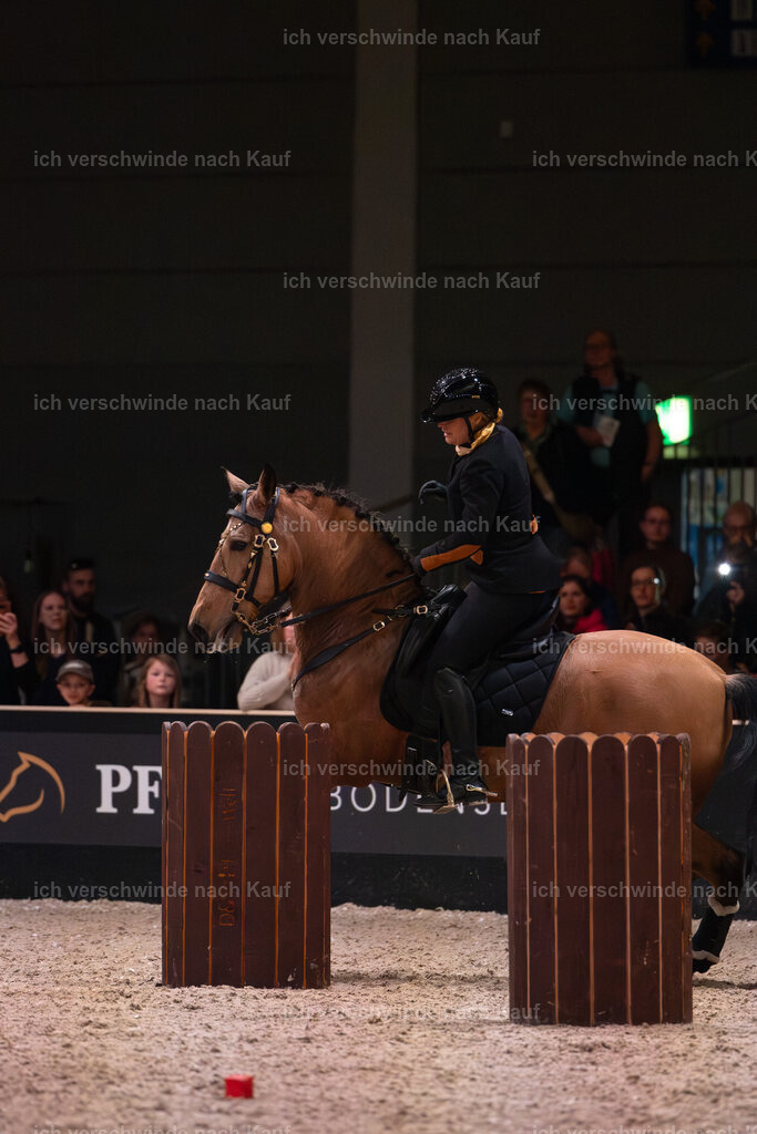 JoseraCup-221 | working equitationturnier fotograf videograf stoibphotography marixx film working equitation deutschland reitsport turnierfotografie eventfotografie equestrian events