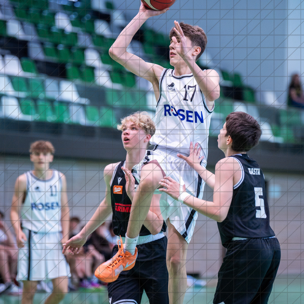 @Martin König_20240623__DSC2017 | bullenfotos|de - Realisiert mit Pictrs.com