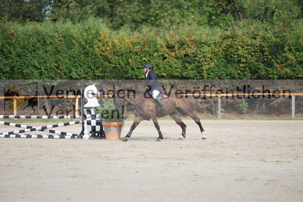 DSC05821 | equestrian-live-com