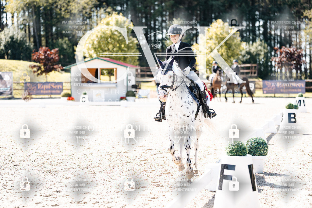 CK904212 | Turnierfotografie Pferdefotografie Trier Rheinland-Pfalz Pferdesport Reitsport Tierfotografie Sportfotografie Pferdevideo Pferdevideografie Equestrianvideography equestrianphotography  - Realisiert mit Pictrs.com