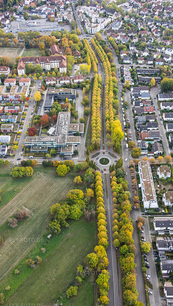 Luftbild: Herbstliche Allee der Karlsruher Straße in Ettlingen im Bundesland Baden-Württemberg in Deutschland. – Foto: IMG_160061.jpg vom 16.10.2026 durch Werner Riehm/FLY-FOTO.de – Auflösung des Originals: 3123 x 5537 px