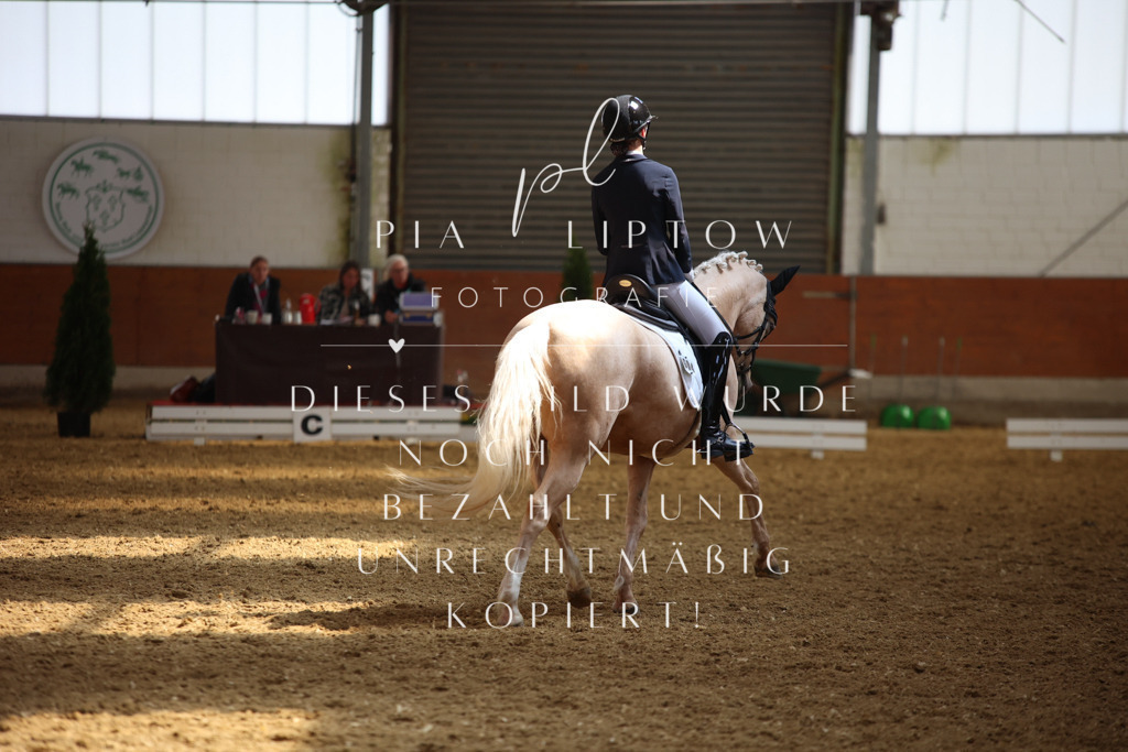 IMGT4918 | pl-fotografie