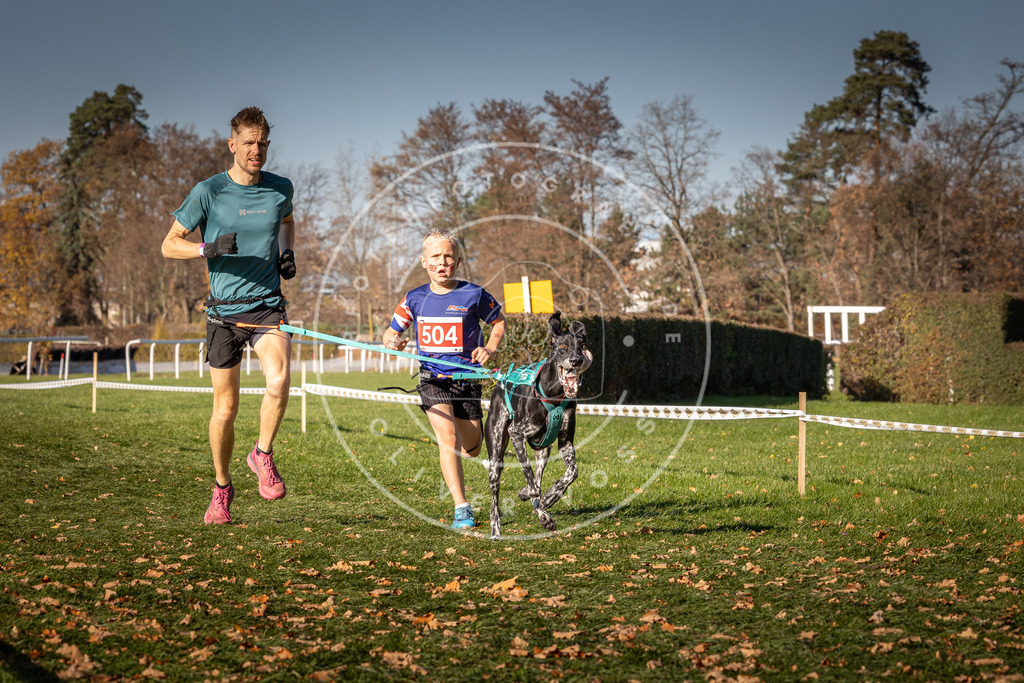 CaniXpix_0L8A6620 | Hundefotografie, Tierfotograf, Pfotenfotografie, Fotoshooting Hund, Hunde Portrait, Hundesport, Hundeportraits, Heideshooting, Hunde, Sportfotograf, Hundefotograf, Turnierhundsport, THS,  - Realisiert mit Pictrs.com