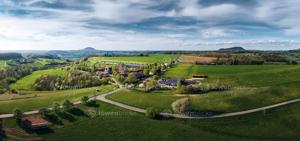 Gestüt Birkhof im Frühling bei Sonnenuntergang | löwenblicke | shop