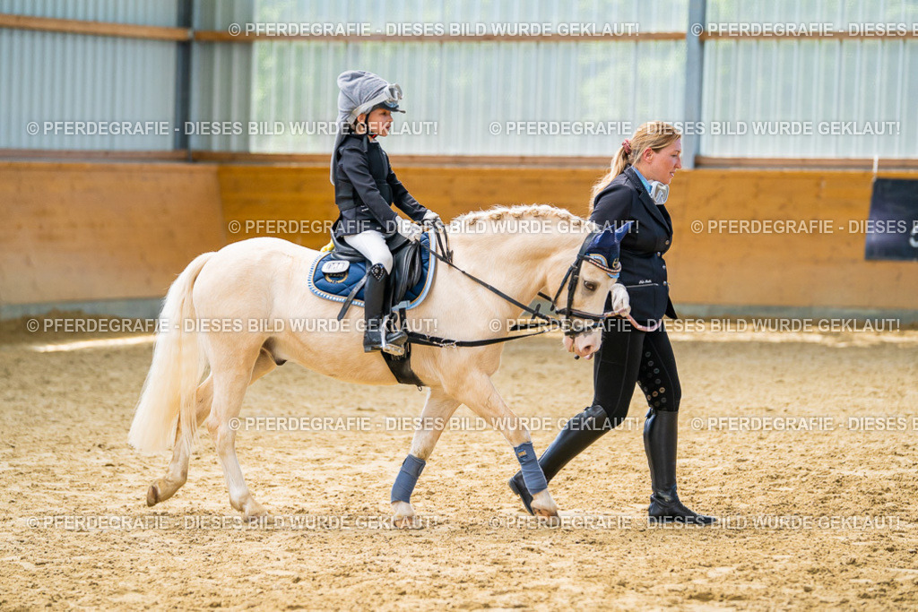 DSC00463 | Pferdegrafie