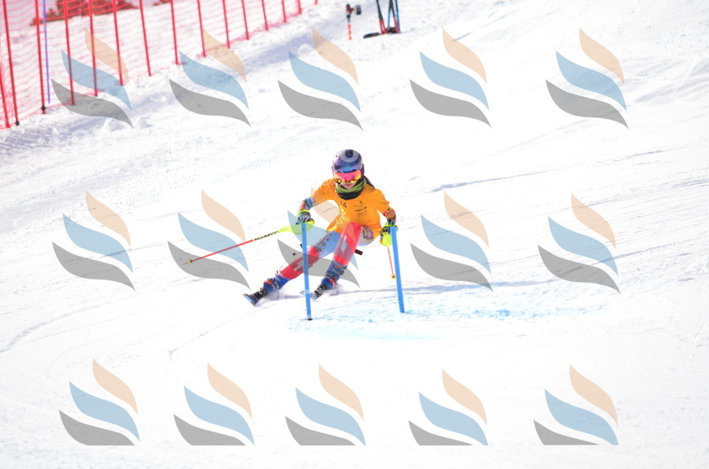 C7927 | holidayphoto