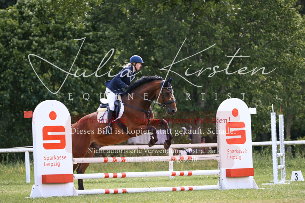 DSC_8842 | Pferde- und Turnierfotografie in Westsachsen. Pferdeportraits, Auftragszeichnungen und intuitive Kunst.