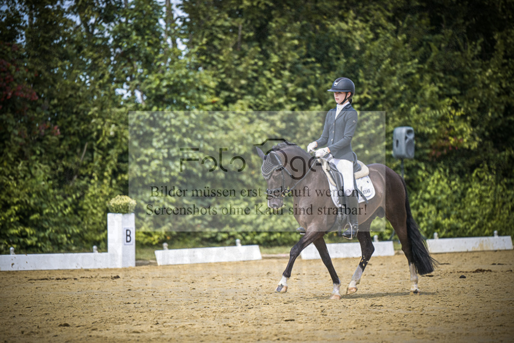 DOS_3792 | Entdecke hochwertige Reitturnierfotos von Foto Oger. Professionell, emotional und authentisch – jetzt Lieblingsmomente im Shop bestellen.Deutschlandweite Turnierfotografie. - Realisiert mit Pictrs.com