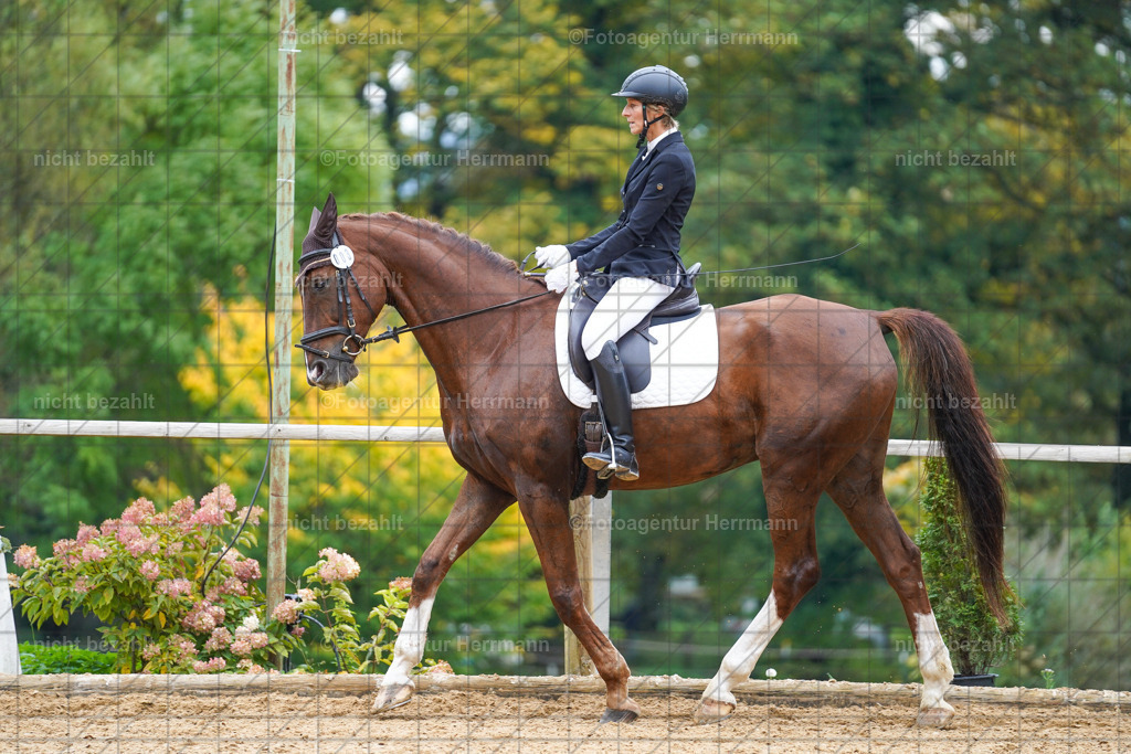 20221008-FAH01534 | Diessen am Ammersee, 2022, Dressur- und Springturnier, Reitsportbilder, Turnierfotografen Bayern, Pferdefotografen, Fotoagentur Herrmann, Turnierbilder