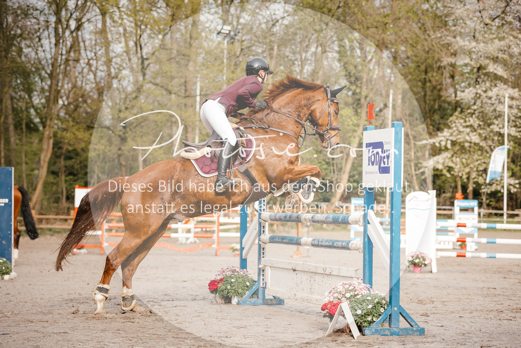 3I6A3224 | Stimmungsvolle Portraits und Reitsportfotografie im Ruhrgebiet und im Münsterland.

Pferdefotografie, Hundefotografie, Tierfotografie, Reportagen, Portraits von Tier und Mensch, Turnierfotografie in Bochum, Recklinghausen, Marl, Haltern am See, Dülmen.. - Realisiert mit Pictrs.com