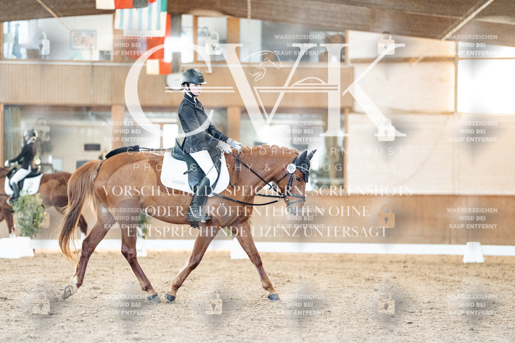 CK906576 | Turnierfotografie Pferdefotografie Trier Rheinland-Pfalz Pferdesport Reitsport Tierfotografie Sportfotografie Pferdevideo Pferdevideografie Equestrianvideography equestrianphotography  - Realisiert mit Pictrs.com
