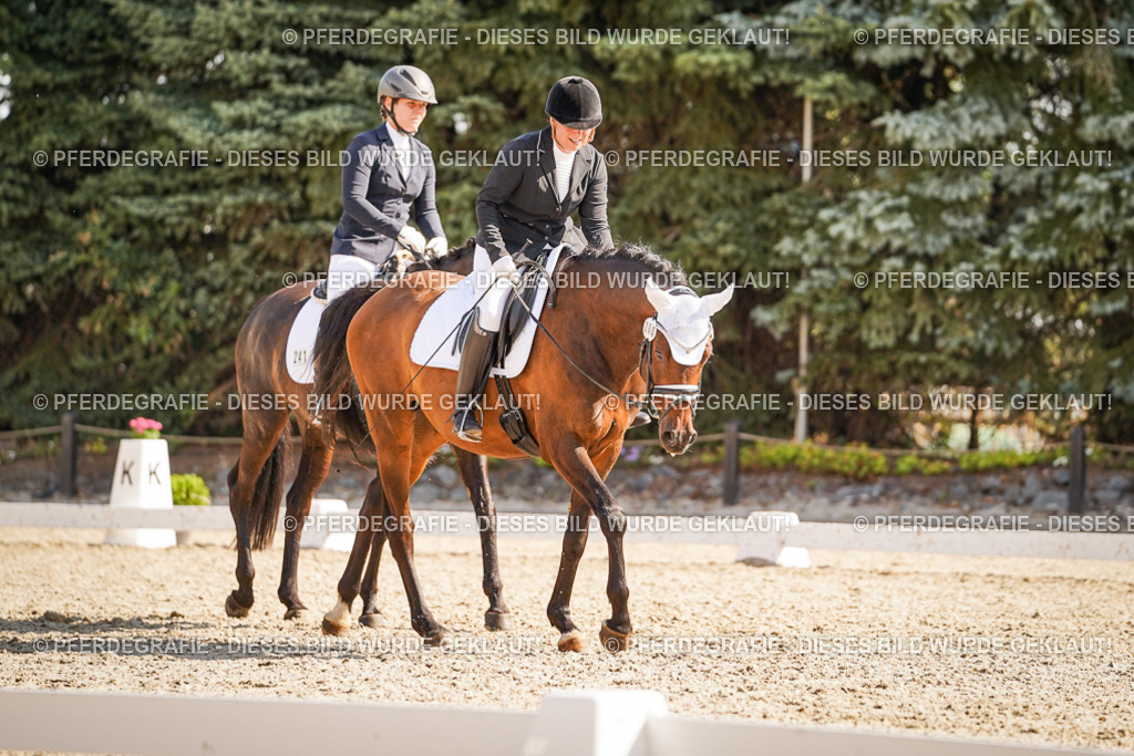 DSC00474 | Pferdegrafie