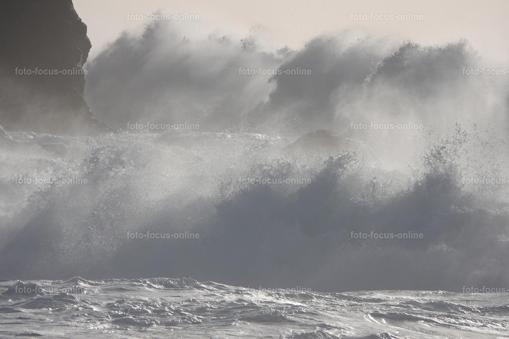 Wild Waves | Wild Waves Atlantic