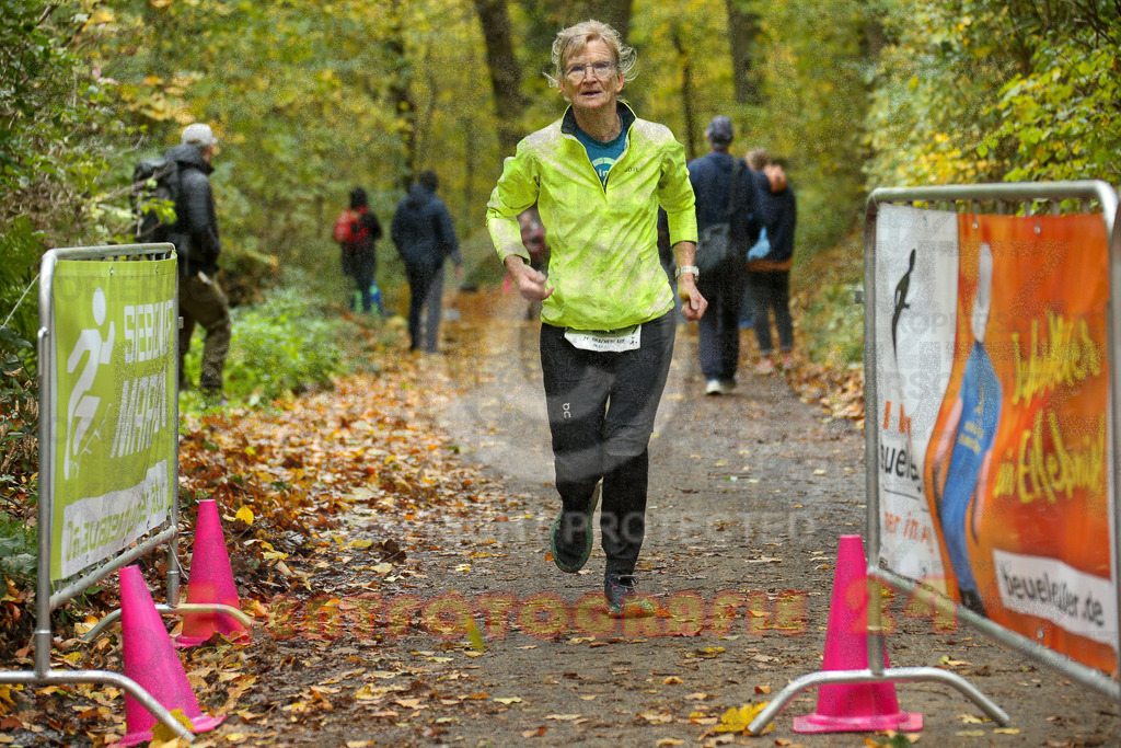 251026_1325_EX1_3413 | Sportfotografie im Rhein-Sieg Kreis, Köln, Bonn, NRW, Rheinland Pfalz, Hessen, etc. Unser Tätigkeitsfeld umfasst den Laufsport vom Volkslauf über den Marathon, Duathlon, Triathon bis zum Ultralauf wie Kölnpfad Ultra oder Schindertrail.