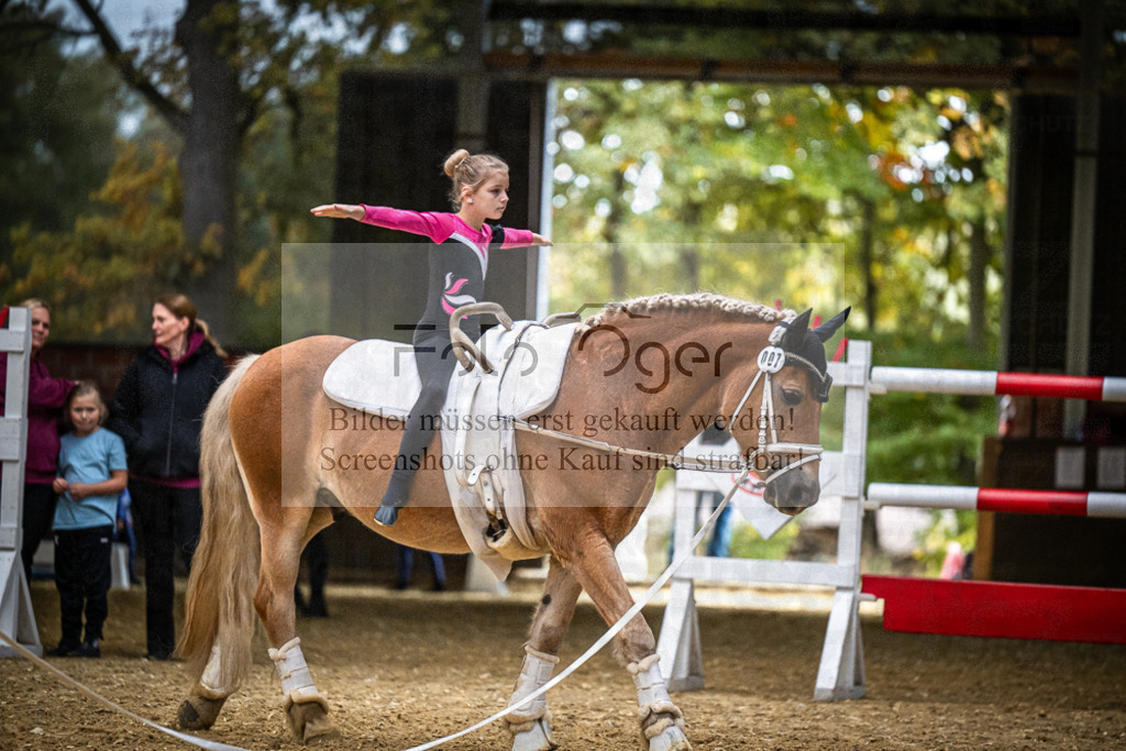 DOS_0033 | Entdecke hochwertige Reitturnierfotos von Foto Oger. Professionell, emotional und authentisch – jetzt Lieblingsmomente im Shop bestellen.Deutschlandweite Turnierfotografie. - Realisiert mit Pictrs.com
