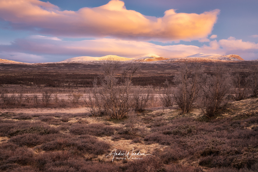 Stille der Taiga | Andre Wandrei - Nature Artworx - Realisiert mit Pictrs.com