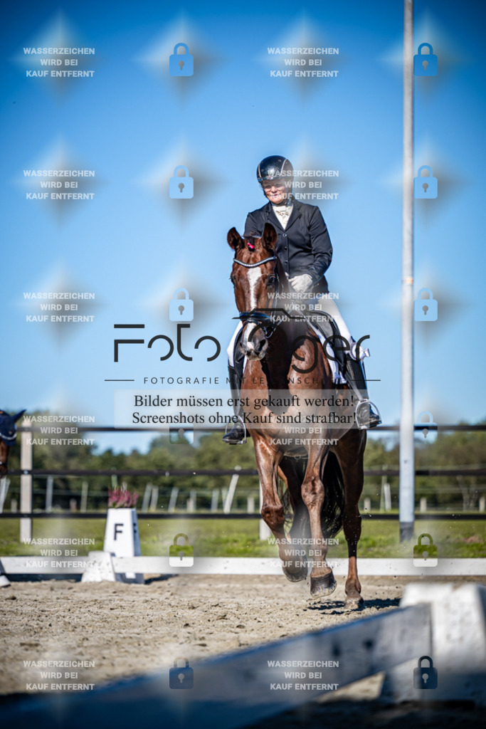 2026-09-Lohne-11-0030 | Entdecke hochwertige Reitturnierfotos von Foto Oger. Professionell, emotional und authentisch – jetzt Lieblingsmomente im Shop bestellen.Deutschlandweite Turnierfotografie. - Realisiert mit Pictrs.com