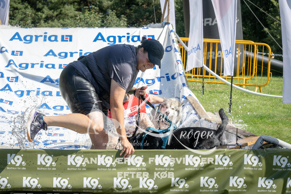 1143_ZZ93585 | kk-dogfotos