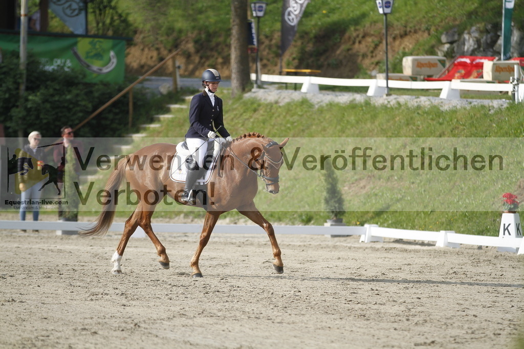 _MG_5838 | equestrian-live-com
