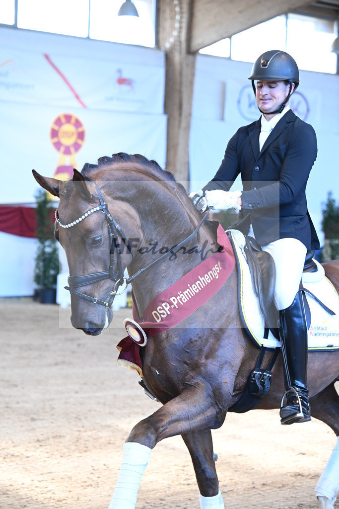 Feliciano_2243165 | hf-fotografie - Realisiert mit Pictrs.com