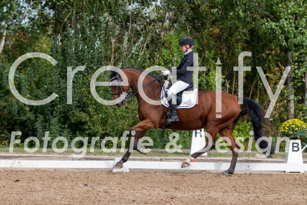 IMG_5382 | Creatify Fotografie