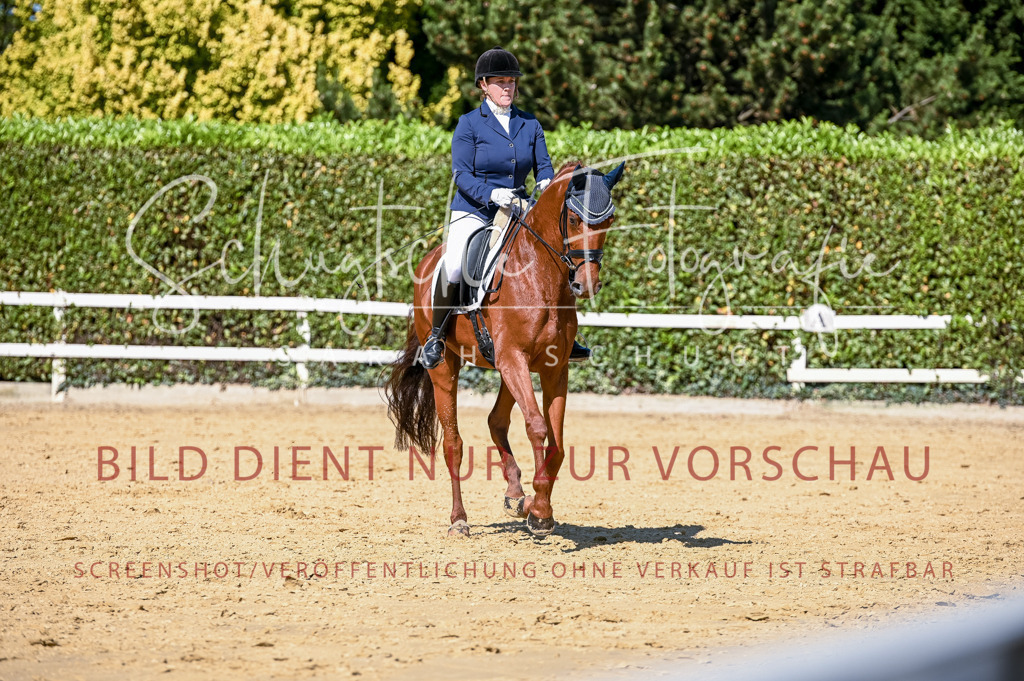 Schugtsche-Aluta25-50.Dressurpferdeprf.L-122 | Schugtsche Fotografie - Realisiert mit Pictrs.com