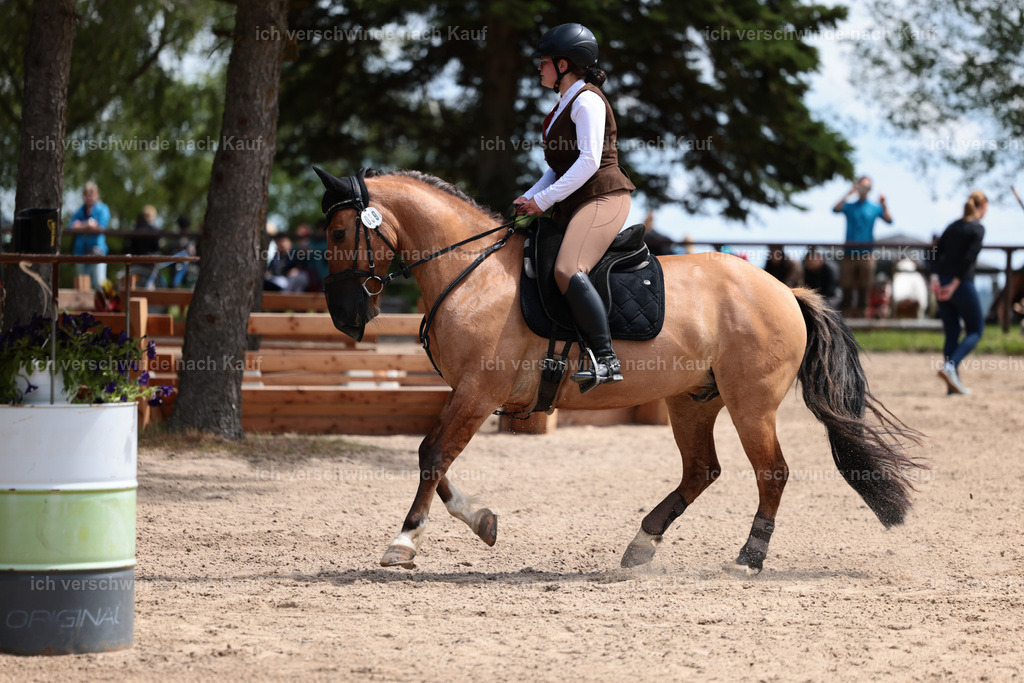 KlasseA_Stoibphotography_C2_L5762.JPG | working equitationturnier fotograf videograf stoibphotography marixx film working equitation deutschland reitsport turnierfotografie eventfotografie equestrian events