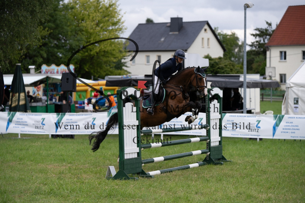 A7V03919 | Pferdefotograf