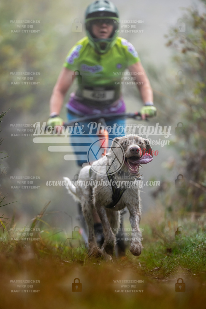 MompixPhotography_20TSB_E4_DS1-46 | PayLife