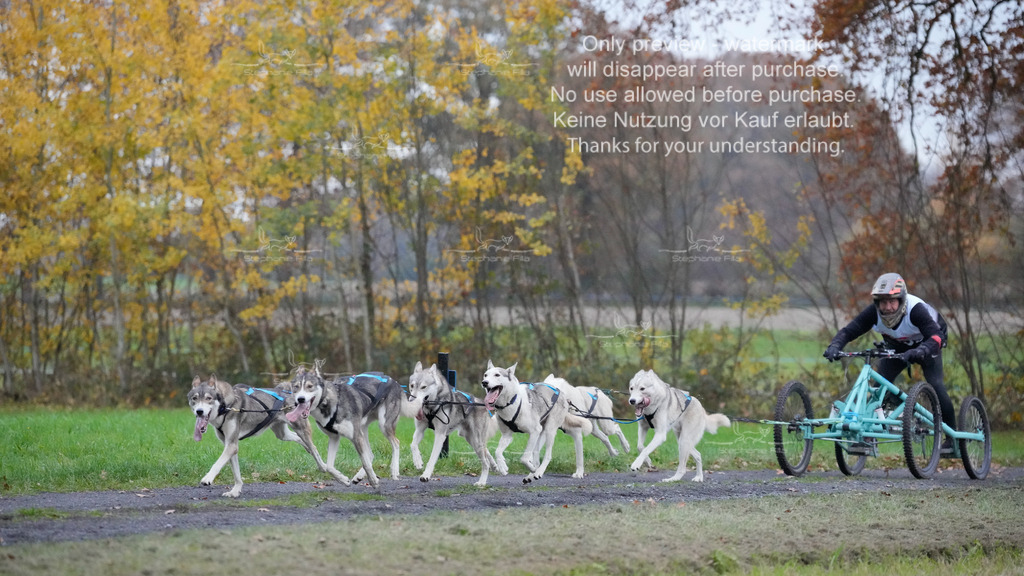 Visbeck_Sa_D4_6-46 | stephaniefillaphotographie - Realisiert mit Pictrs.com