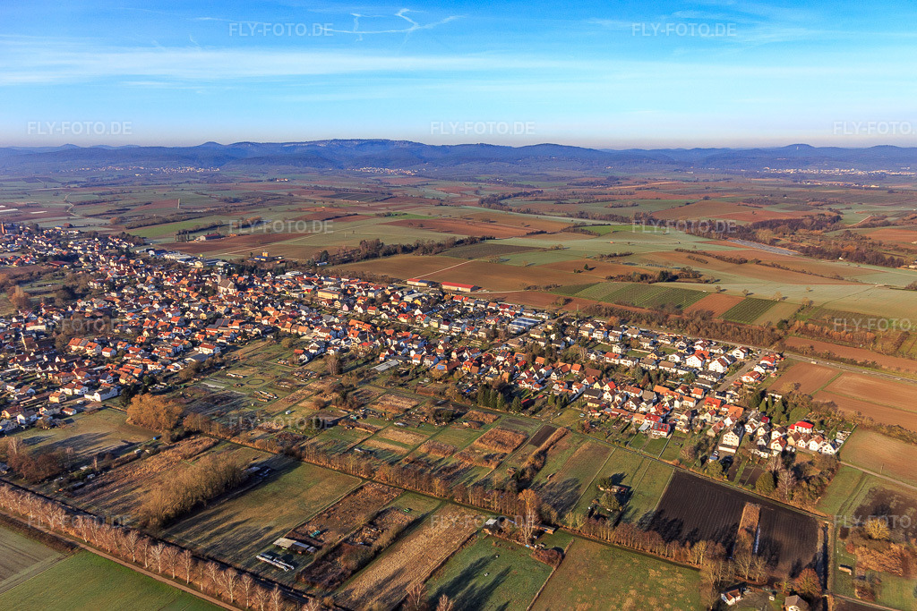 Luftbild: Ortsansicht von Südosten in Steinfeld im Bundesland Rheinland-Pfalz in Deutschland. Foto: IMG_124124.jpg vom 11.01.2021 durch Werner Riehm/FLY-FOTO.de