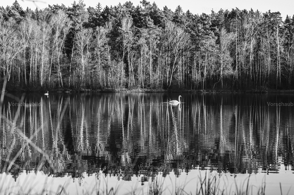 Fotoatelier Christian Hofmeister | Stadtlandschaften, sowie Makro-, Landschafts-, Natur- und Schwarzweißfotos aus der Region Celle &amp; Umgebung