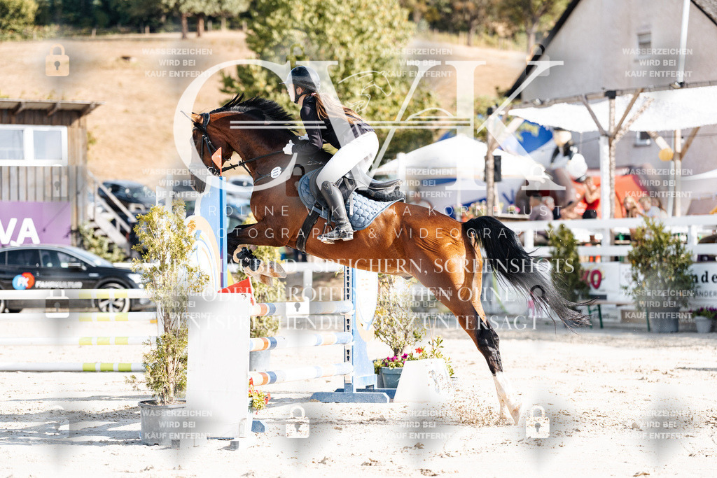 CK909228 | Turnierfotografie Pferdefotografie Trier Rheinland-Pfalz Pferdesport Reitsport Tierfotografie Sportfotografie Pferdevideo Pferdevideografie Equestrianvideography equestrianphotography  - Realisiert mit Pictrs.com