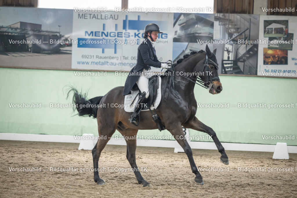 _D5A5253 | Emotionale Pferde- & People-Fotografie rund um Heidelberg, Leimen & Umgebung. Natürliche Fotos von Pferd, Mensch & Familie. Jetzt Termin sichern!