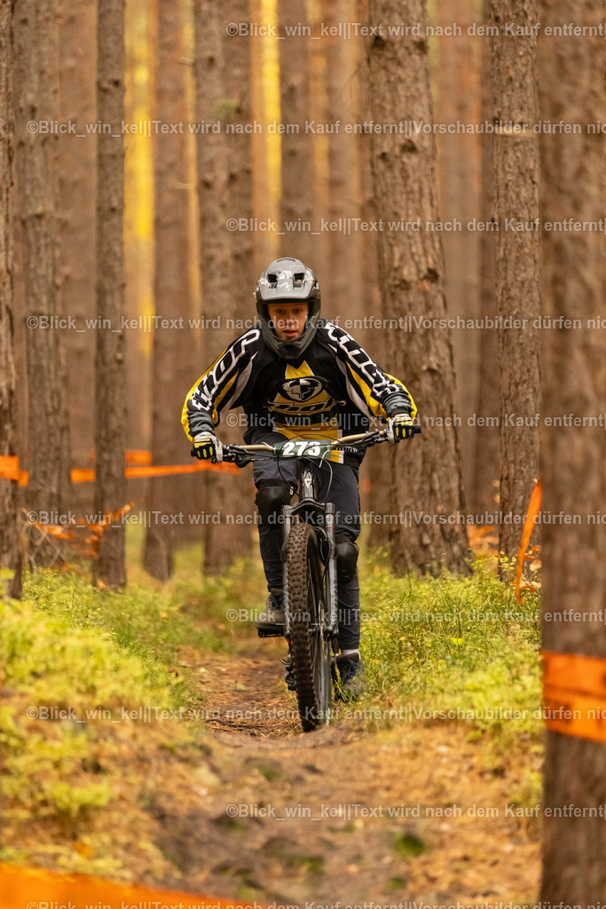 E68A3135 | blick_win_kel