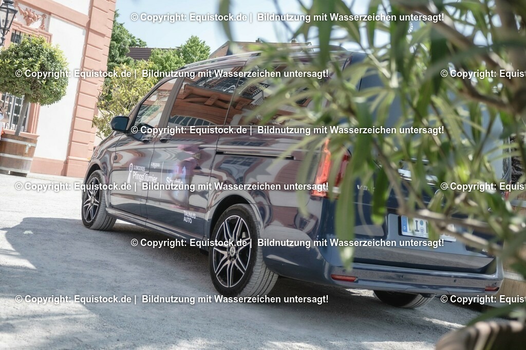 ZFC_3962 | equistock