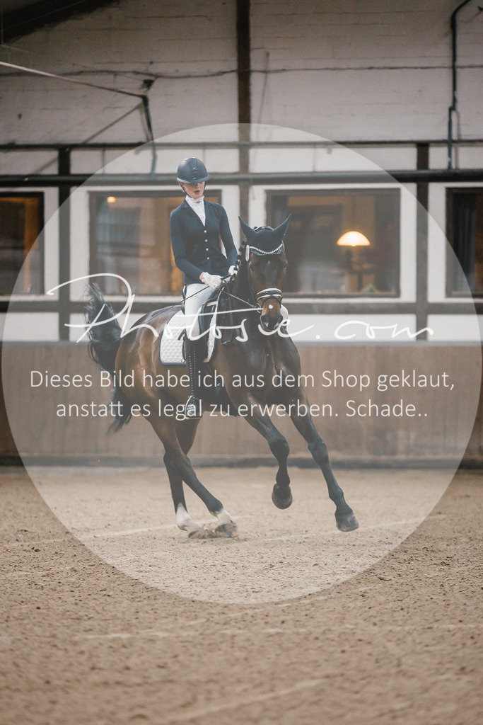 3I6A5831 | Stimmungsvolle Portraits und Reitsportfotografie im Ruhrgebiet und im Münsterland.

Pferdefotografie, Hundefotografie, Tierfotografie, Reportagen, Portraits von Tier und Mensch, Turnierfotografie in Bochum, Recklinghausen, Marl, Haltern am See, Dülmen.. - Realisiert mit Pictrs.com
