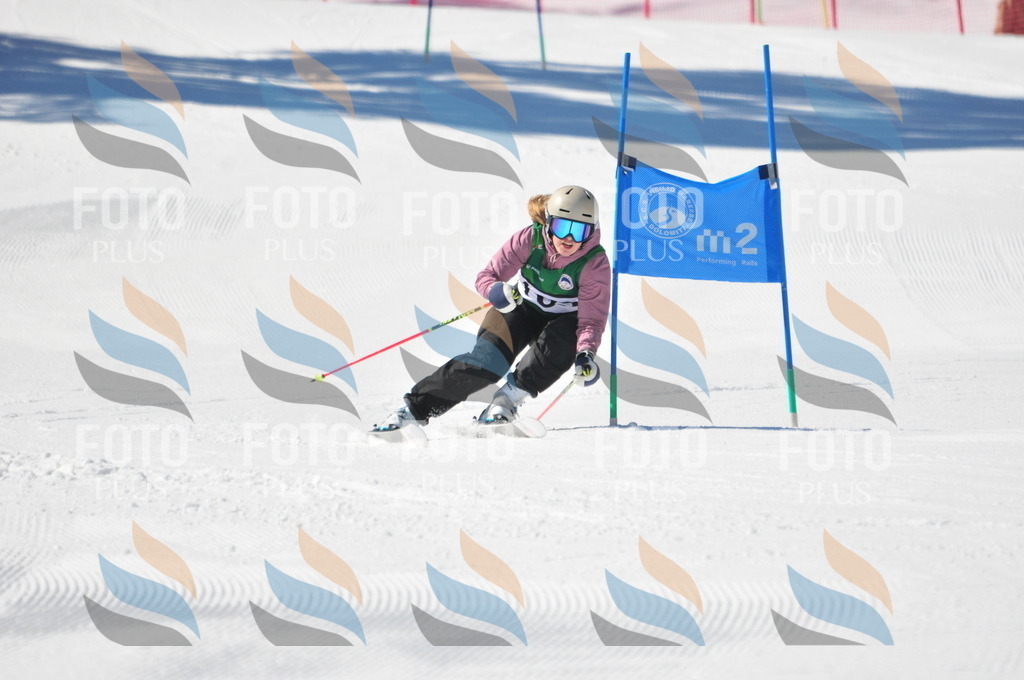 C4192 | holidayphoto