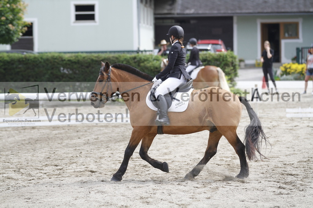 _MG_1076 | equestrian-live-com