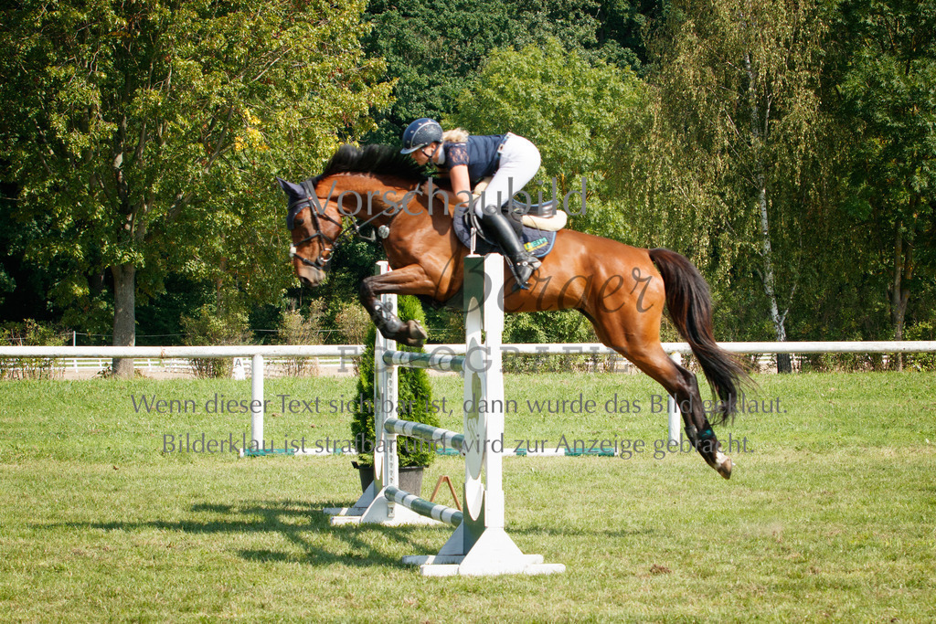 IMG_3623 | P. Berger Fotografie - Realisiert mit Pictrs.com