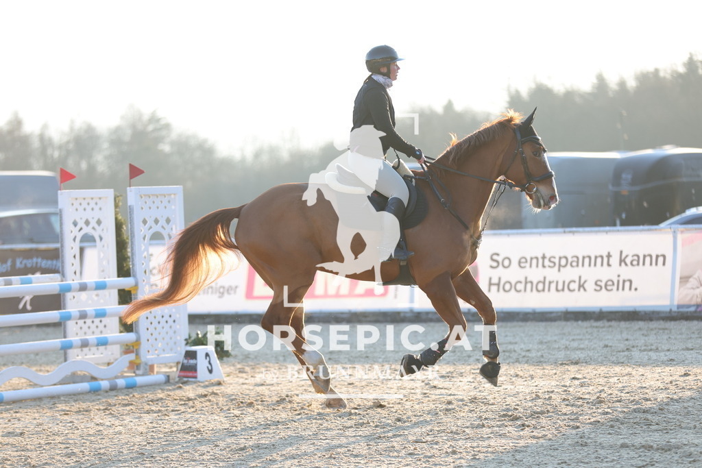 0P6A8725 | Willkommen bei Brunnmayr - Design & Fotografie – Ihrem Spezialisten für Reitturniere und Pferdeveranstaltungen in Oberösterreich, Salzburg und Bayern! Seit über 17 Jahren sind wir leidenschaftlich dabei.